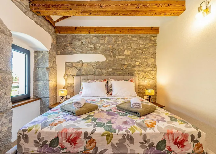 Villa House Rural Frane